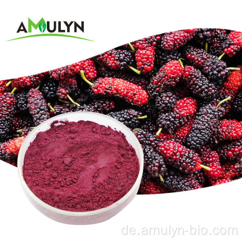 Fruchtextrakt Gefriertrockenes Lila MulBerry Pulver